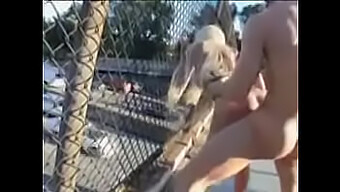 Outdoor Sex With Busty Blonde In Public